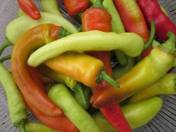 Hungarian Sweet Peppers