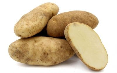 Russet Potatoes