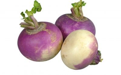 Turnips, Rutabagas, Beets or Kohlrabi