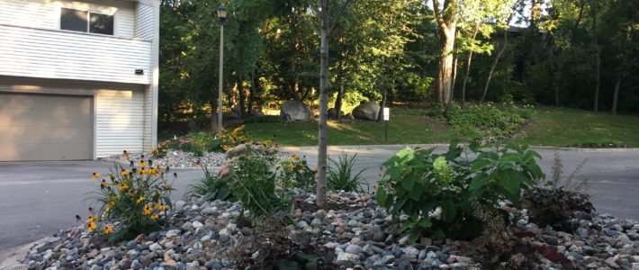 Bringing 40 Year Old Apple Valley Townhouses Into the 21st Century! Apple Valley Landscape