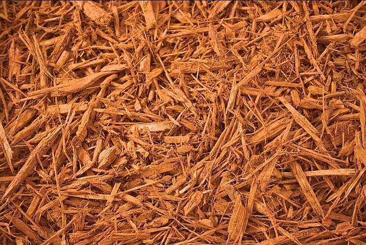 Gold Mulch