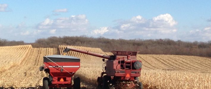 Cash Crops Farm Page CASH CROPS (7)
