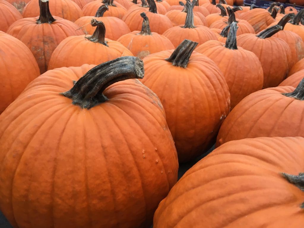 Pumpkins