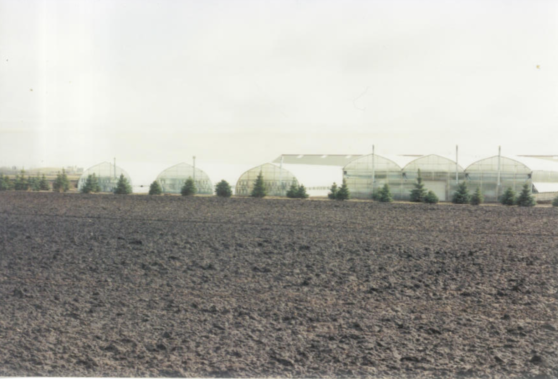 First permanent green house built