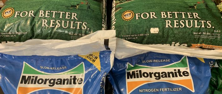 Lawn Maintenance Milorganite