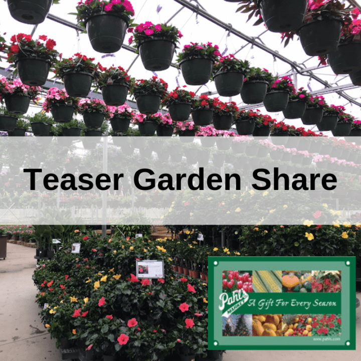 Teaser Garden Center Share
