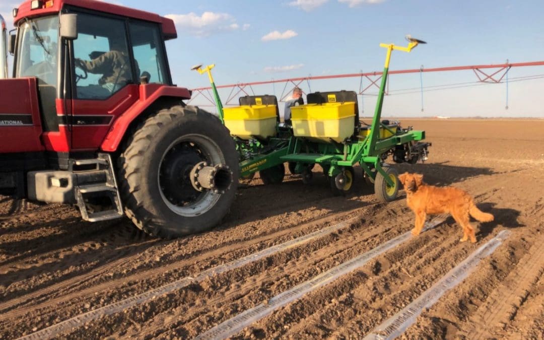 CSA Update From The Farm – 5/22/19