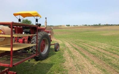 CSA Update from the Farm 6/07/19