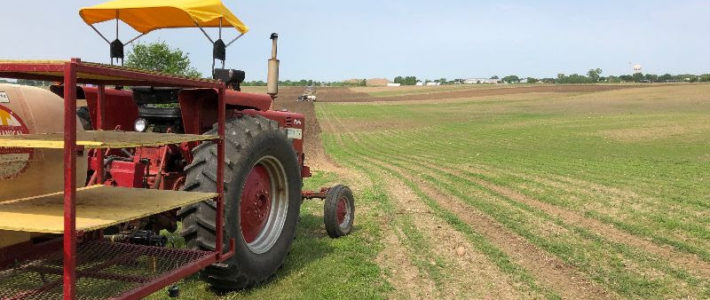 CSA Update from the Farm 6/07/19 unnamed
