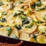 Potato, Squash and Goat Cheese Gratin
