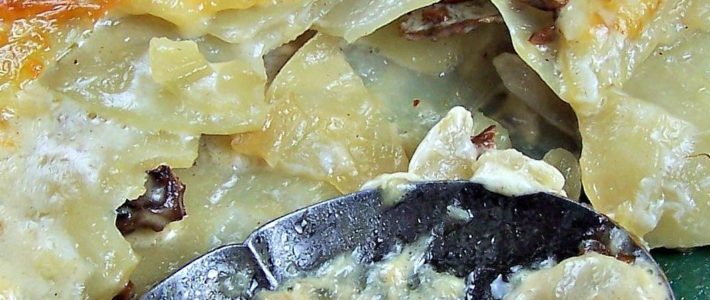GRATIN OF POTATOES AND CHANTERELLES Chantrelle Recipe