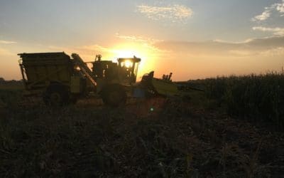 Tractor Lights