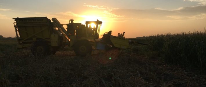 Tractor Lights Corn Picker
