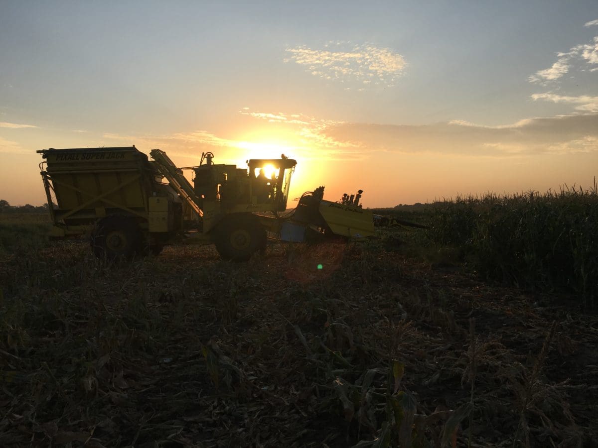 Corn Picker