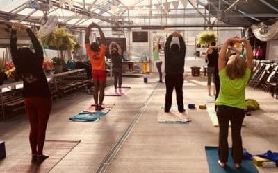 Yoga in the Greenhouse
