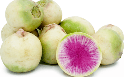 Watermelon Radish