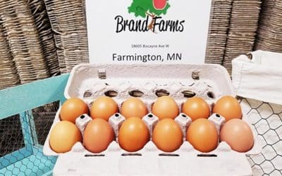 Brand Farm Eggs