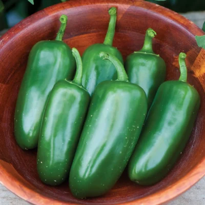 Jalapeno M Pepper (Hot)