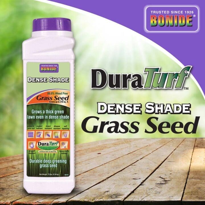 Bonide Dense Shade Grass Seed