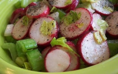 Celery and Radish Salad