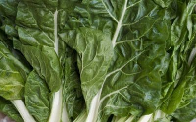 Swiss Chard or Celery