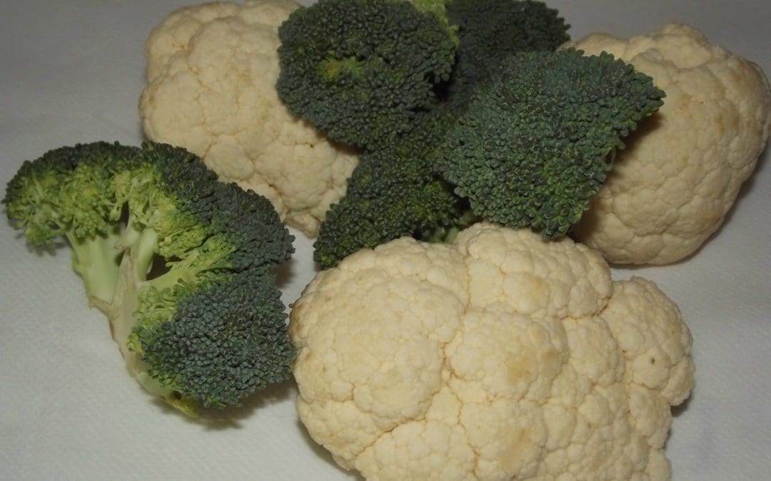 Cauliflower or Broccoli