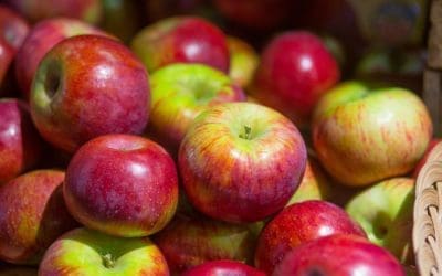 Honeycrisp or Cortland Apples