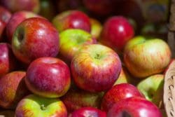 Honeycrisp or Cortland Apples