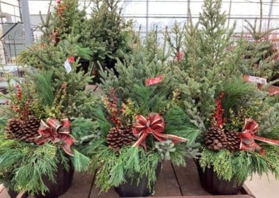 Welcome Winter with a Handcrafted Spruce Tip Pot