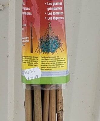 Bamboo Teepee Trellis