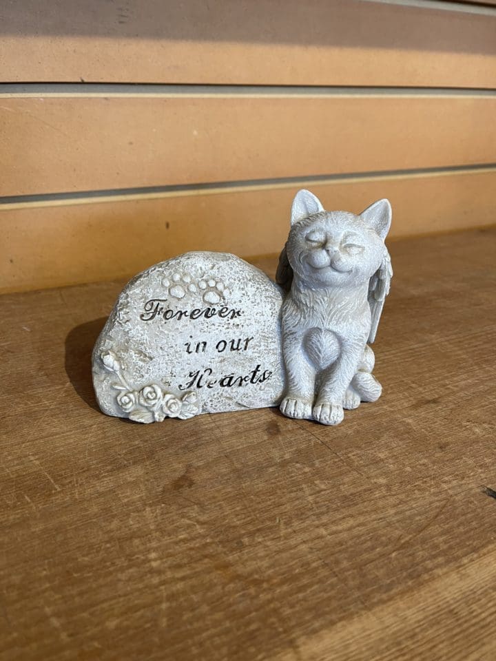 Angel Cat Forever In Our Hearts