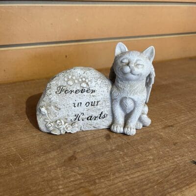 Angel Cat Forever In Our Hearts