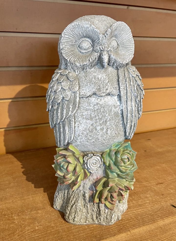 Owl With Succulents