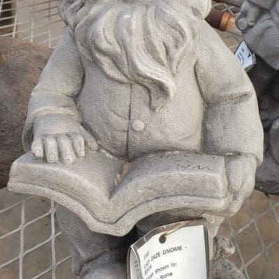 Gnome Statue Book