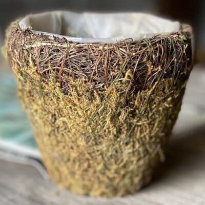 Basket Vineyard Wicker Small