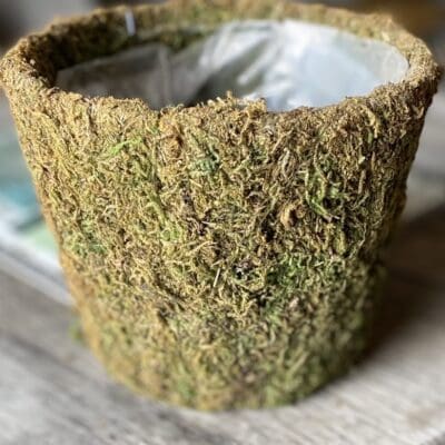 Basket Vineyard Wicker Medium