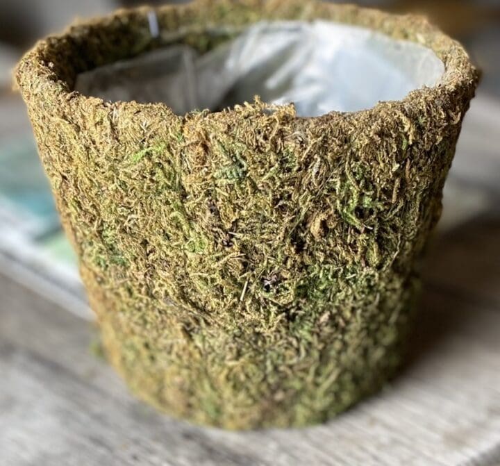 Basket Vineyard Wicker Medium