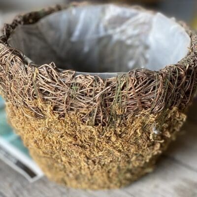 16" Planter Sphagnum Moss