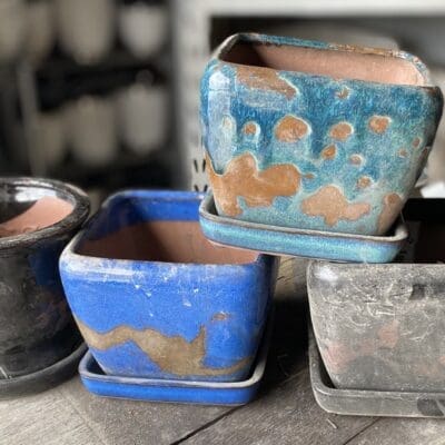 5" Aegean Assortment