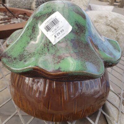 Mushroom Green/Brown 7"