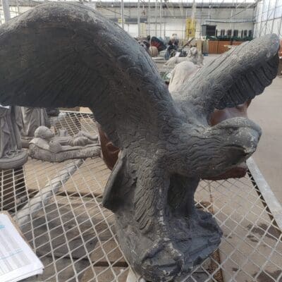 Spirit Eagle