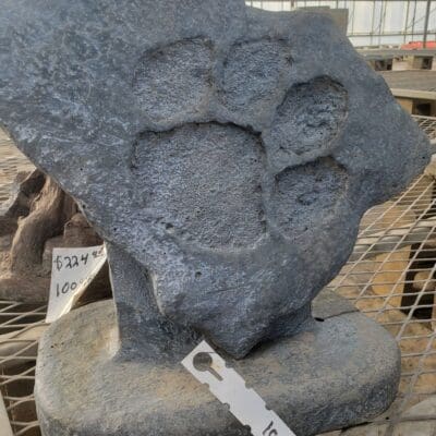 Paw Print