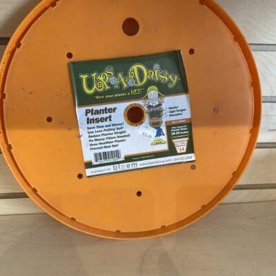 Ups A Daisy Planter Insert 17" Bloem