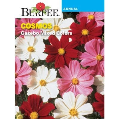 Cosmos Gazebo Mix Burpee