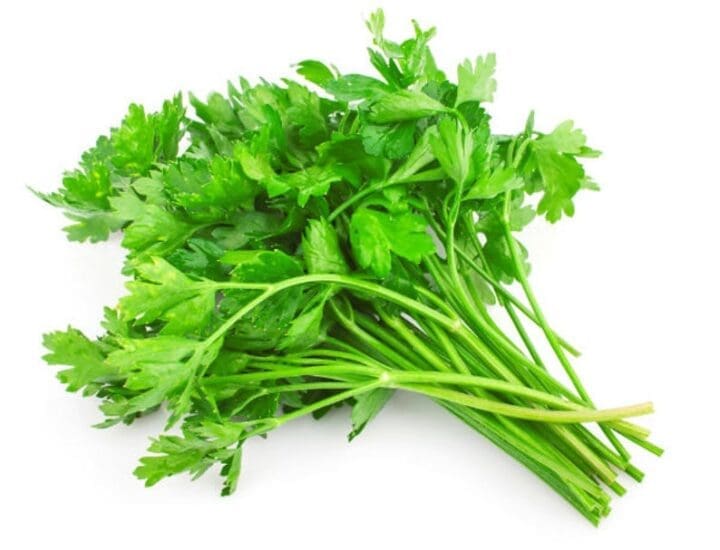 Parsley Italian  (Sun) - Image 3