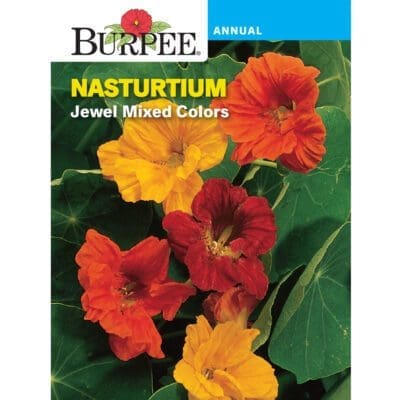 Nasturtium Jewel Mixed Colors Burpee