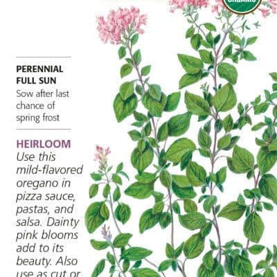 Oregano Common Organic Botanical