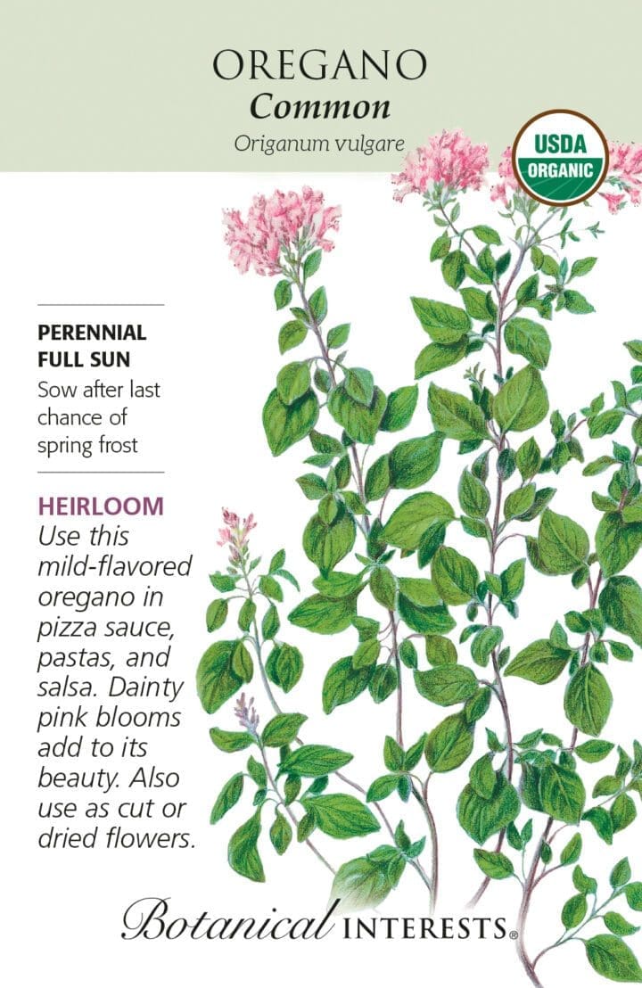 Oregano Common Organic Botanical