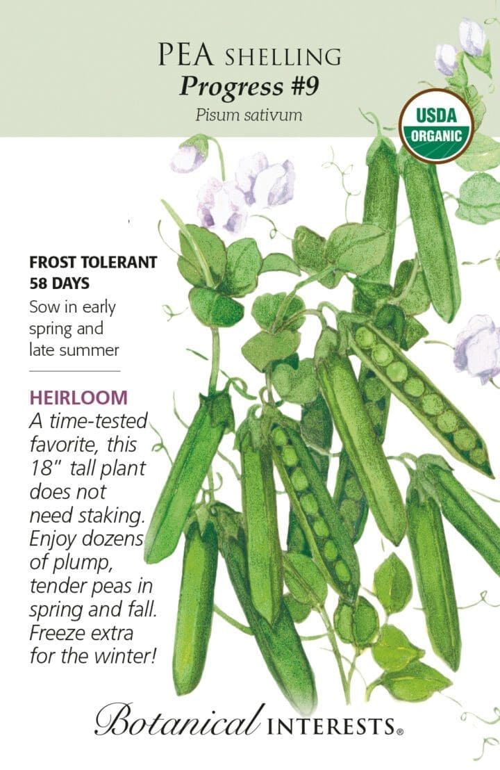 Pea Shelling Progress #9 Organic Botanical