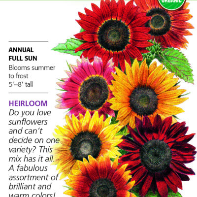 Sunflower Heirloom Beauties Organic Botanical